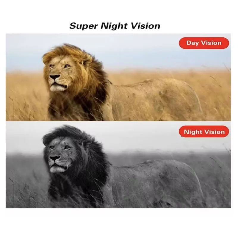 1080P Wildlife Hunting Camera -Q-A258