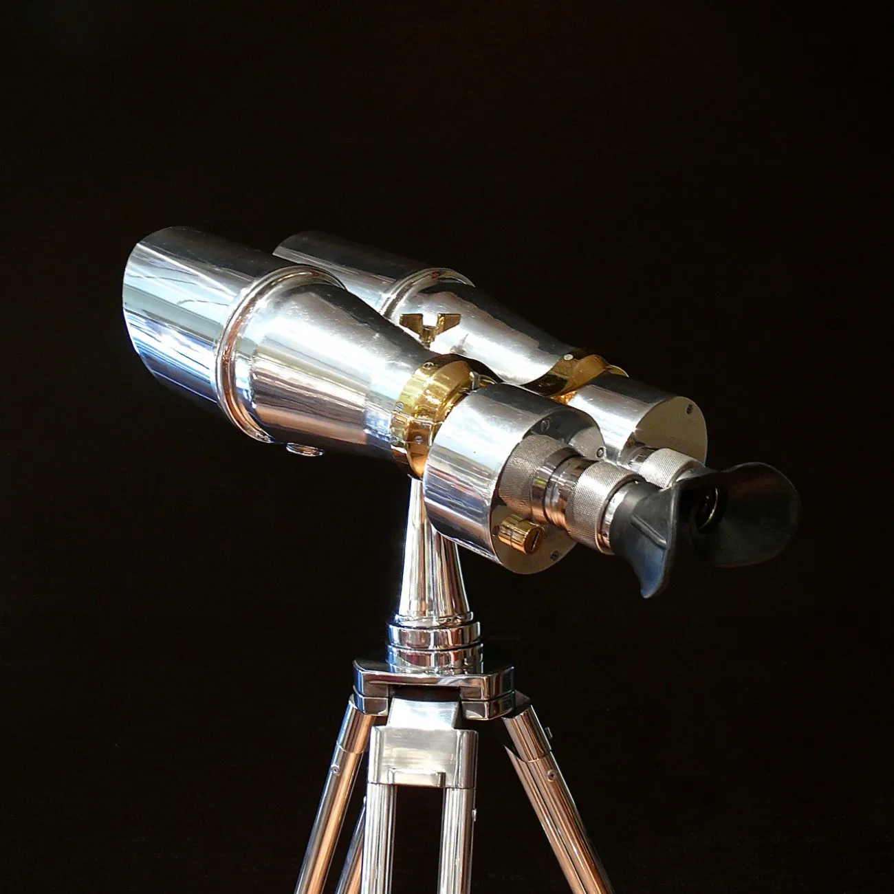 15 x 100 Binoculars