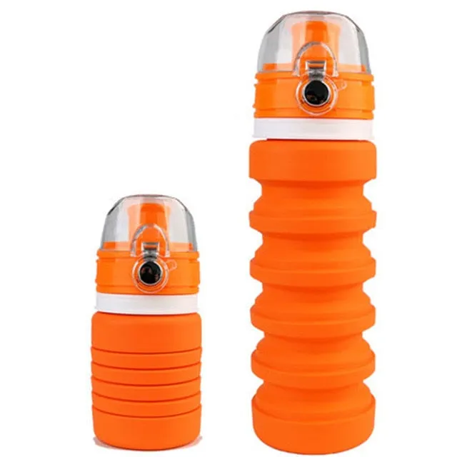 Collapsible Silicone Water Bottle