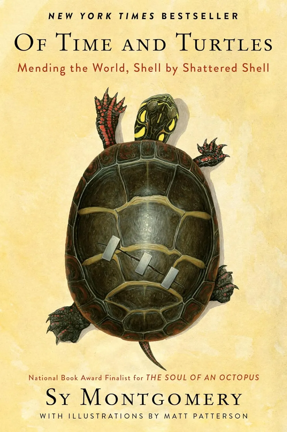 Of Time and Turtles: Mending the World, Shell by Shattered ShellA Heartwarming Compassionate Portrait of Injured Turtles, Perfect for Nature Lovers. Hardcover  Deckle Edge, September 19, 2023